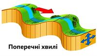 Поперечныеволны2.jpg